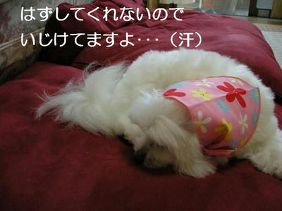 DSCN5423.JPG