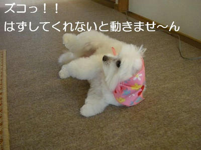 DSCN5429.JPG