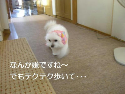 DSCN5433.JPG