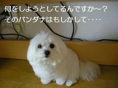 DSCN5490.JPG