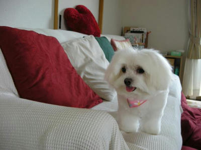 DSCN5400.JPG