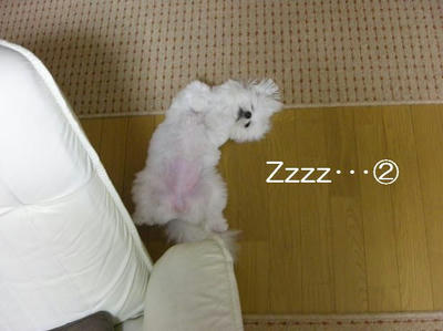 DSCN5455.JPG