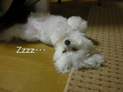 DSCN5460.JPG