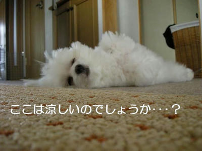 DSCN5557.JPG