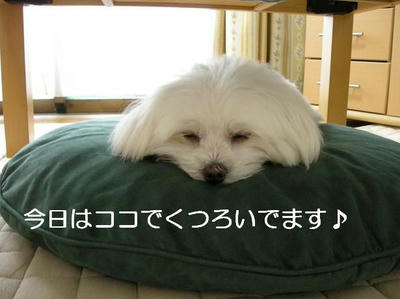 DSCN5584.JPG