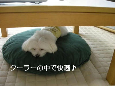 DSCN5588.JPG
