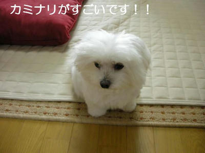 DSCN5541.JPG