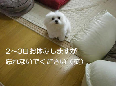 DSCN5536.JPG