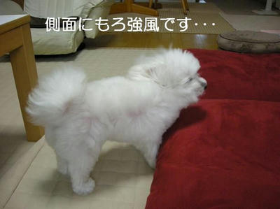 DSCN5600.JPG