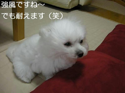 DSCN5603.JPG