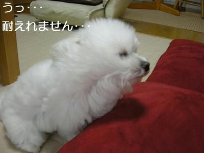 DSCN5604.JPG