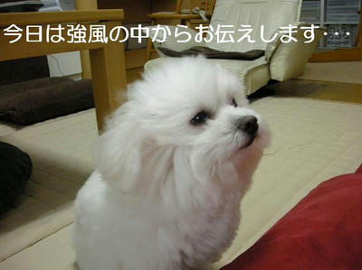 DSCN5608.JPG