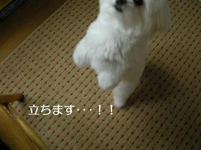 DSCN5595.JPG