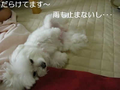 DSCN5613.JPG