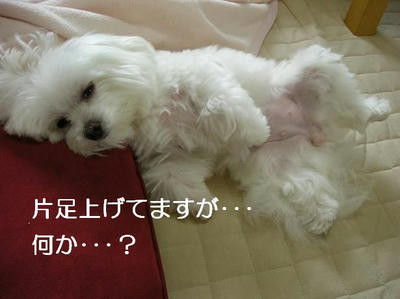 DSCN5615.JPG