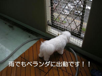 DSCN5622.JPG
