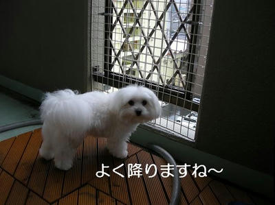 DSCN5625.JPG
