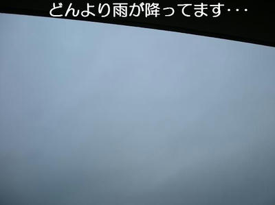 DSCN5627.JPG