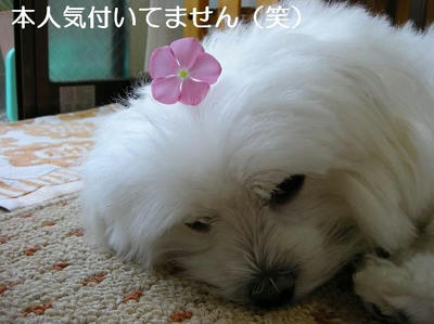 DSCN5644.JPG