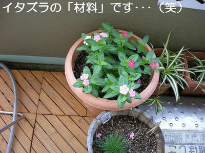 DSCN5646.JPG