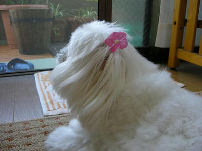 DSCN5648.JPG