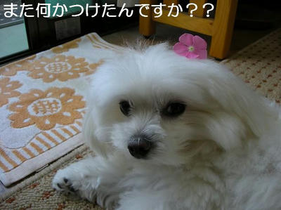 DSCN5651.JPG