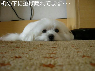 DSCN5655.JPG