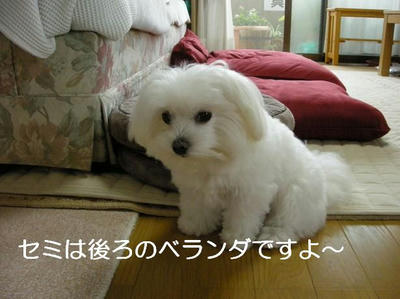 DSCN5666.JPG