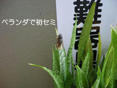 DSCN5678.JPG