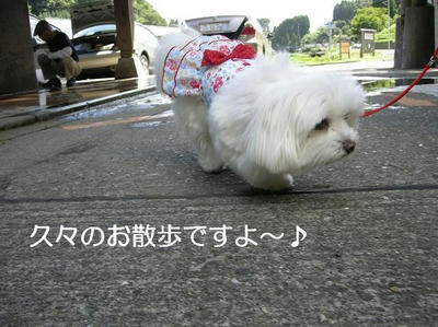 DSCN5860.JPG
