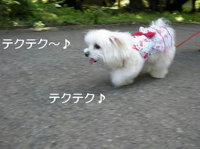 DSCN5868.JPG