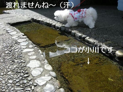 DSCN5877.JPG