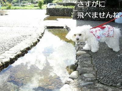 DSCN5887.JPG