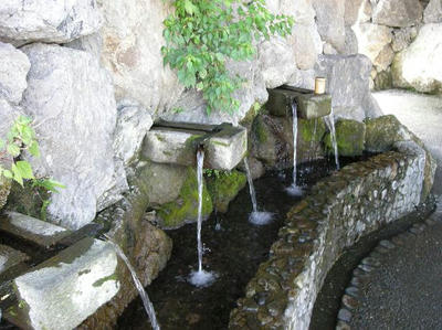 DSCN5888.JPG