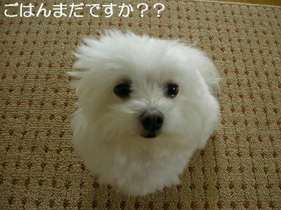 DSCN5832.JPG