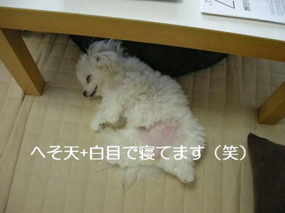 DSCN5847.JPG
