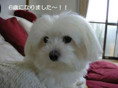DSCN6182.JPG