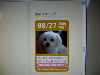 DSCN6183.JPG