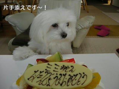 DSCN6197.JPG