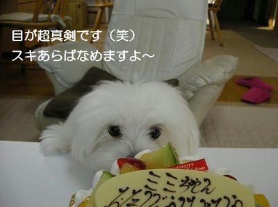 DSCN6198.JPG