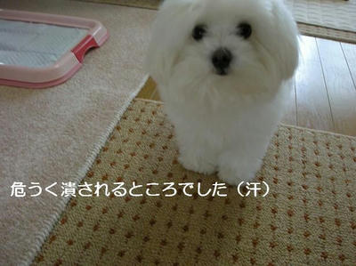 DSCN6127.JPG