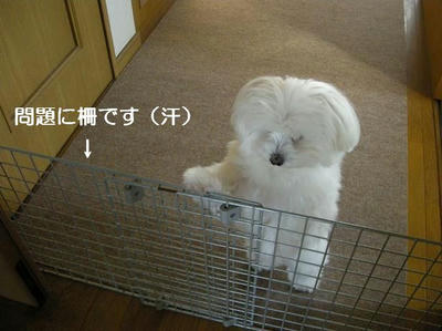 DSCN6157.JPG