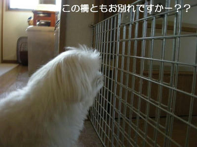 DSCN6160.JPG