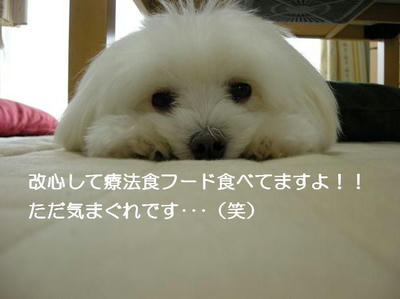 DSCN6099.JPG