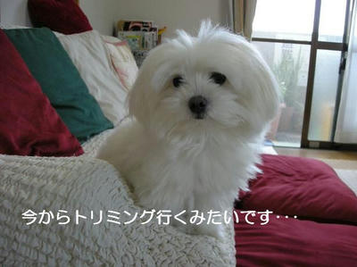 DSCN6214.JPG