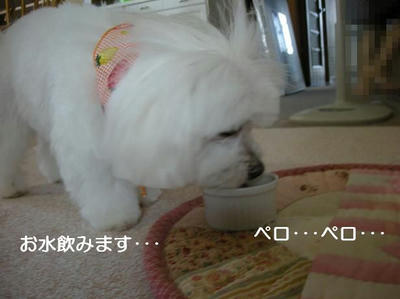 DSCN6222.JPG
