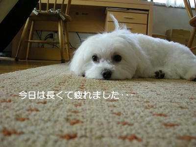 DSCN6228.JPG