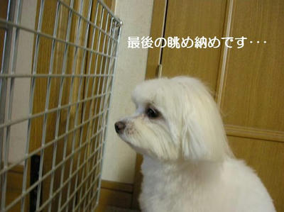 DSCN6233.JPG