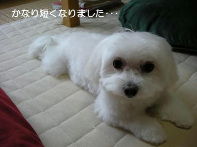 DSCN6245.JPG