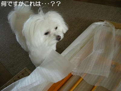 DSCN6254.JPG